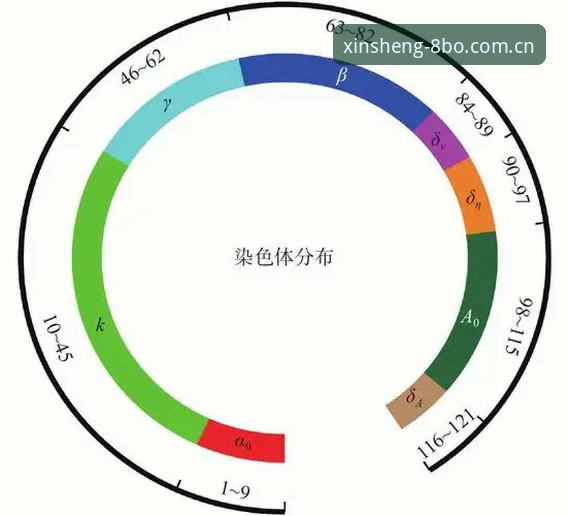 博体育体育投注 888体育官网投注的5大核心优势与3步操作指南